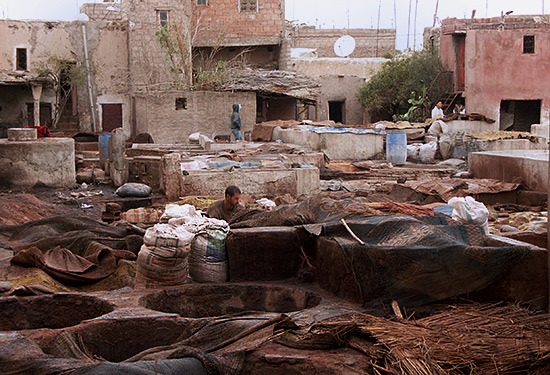Souk des tanneurs, o� les peaux mac�rent dans les fiantres de pigeons...